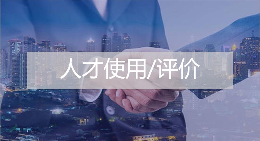 人才使用/評價 人才使用/評價